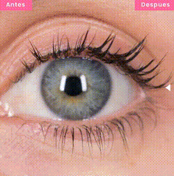 BIOAQUA™️ SERUM DE CEJAS Y PESTAÑA CON VITAMINA E 2X1